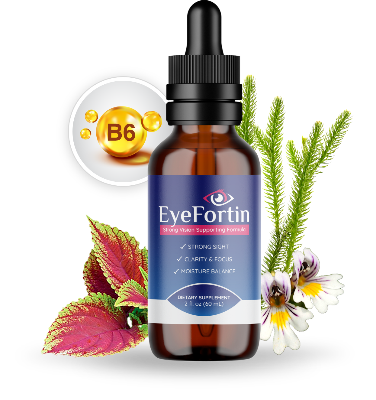 EyeFortin